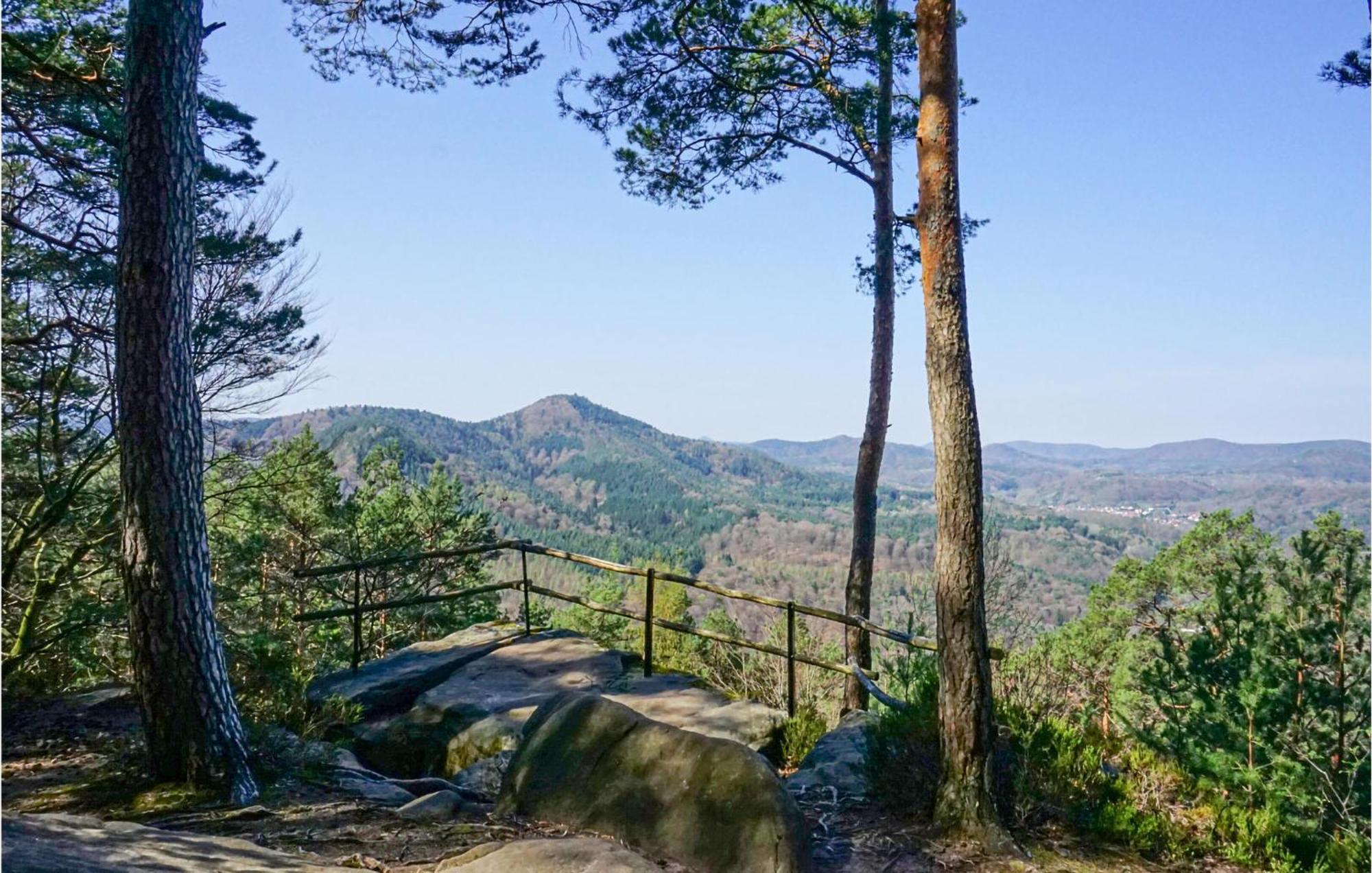 Amazing Apartment In Hinterweidenthal With Wifi エクステリア 写真